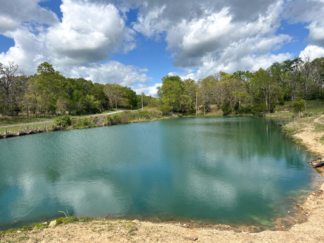 139 Acre Farm - Horse & Livestock Ready - photo 9