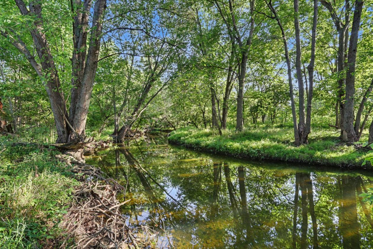 Premier Equestrian Country Estate |24 Acres - photo 4