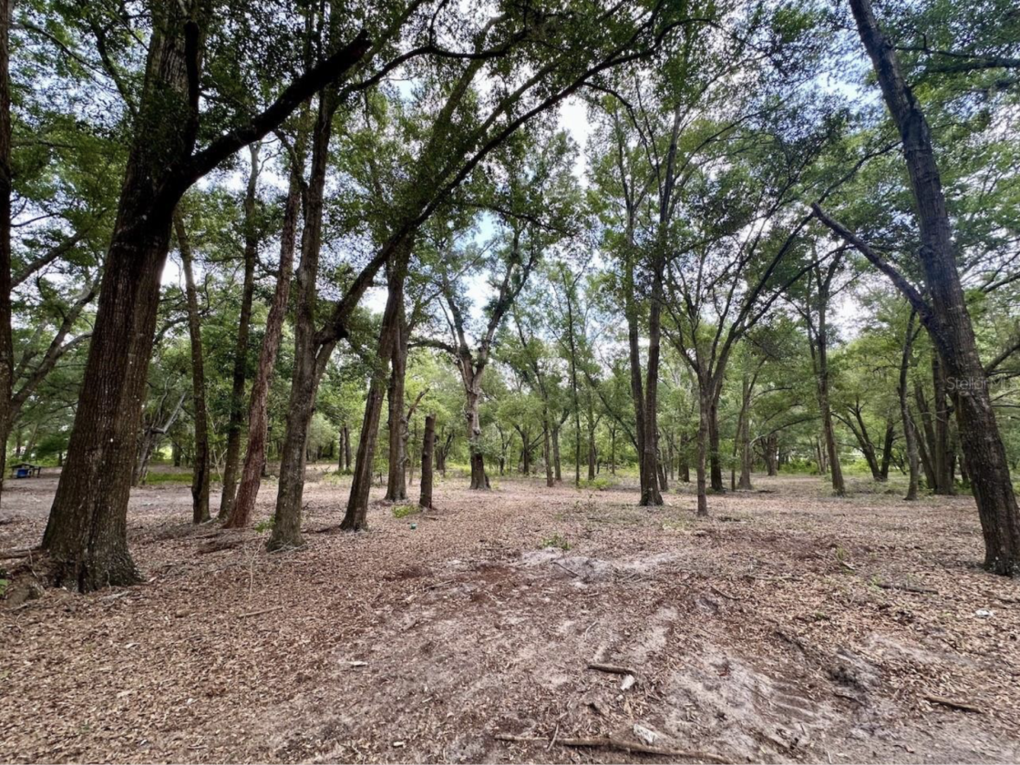 14.5 ACRES • NOW AR ZONED • HORSES/RVS • NO HOA! - photo 20