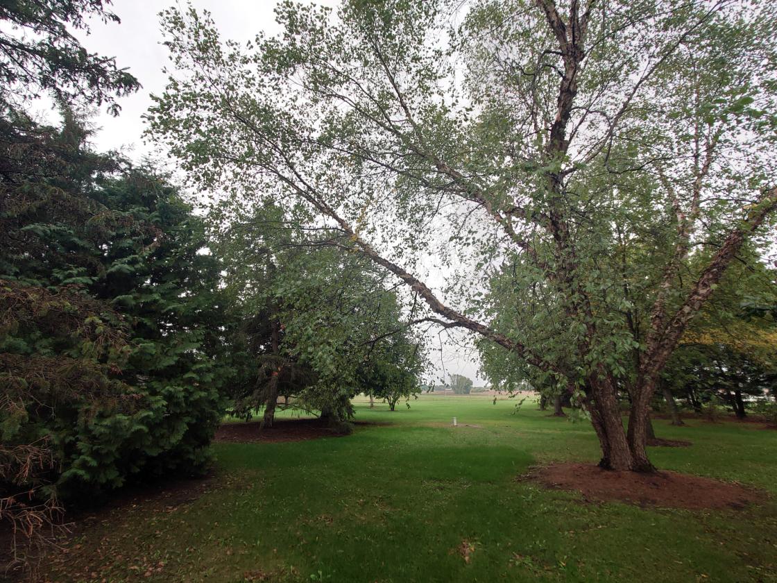 10 Acres & Home 20 min NW of Maple Grove in Otsego - photo 29
