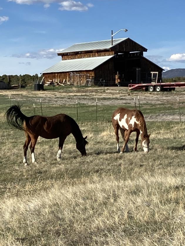 Horse property with multiple income streams - photo 20