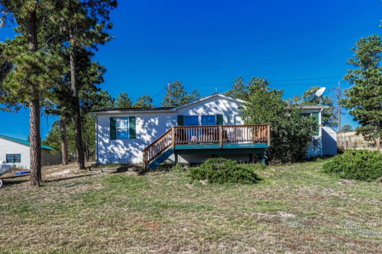 Historic Pine Run Ranch in Black Forest on 60AC - photo 10