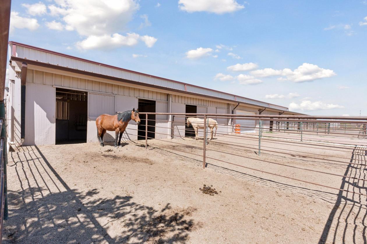 200-Acre Ranch | Arena + Motocross + Pikes Peak - photo 7