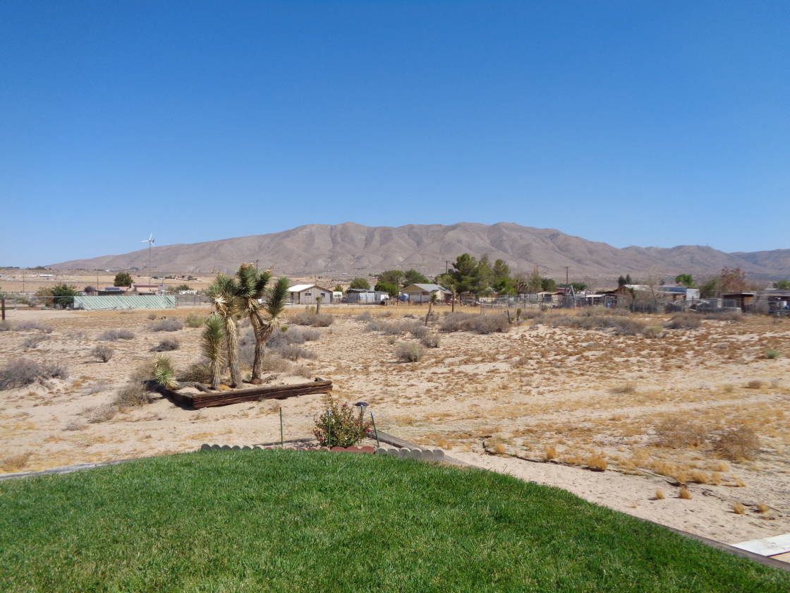 horse property for sale with lovely landscaped home,view zoned A2