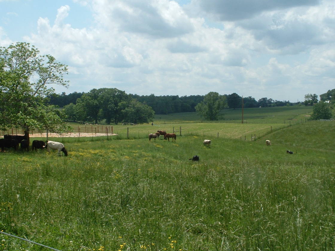 Horse farm on 24 acres Walling, White County, Tennessee Horse Properties