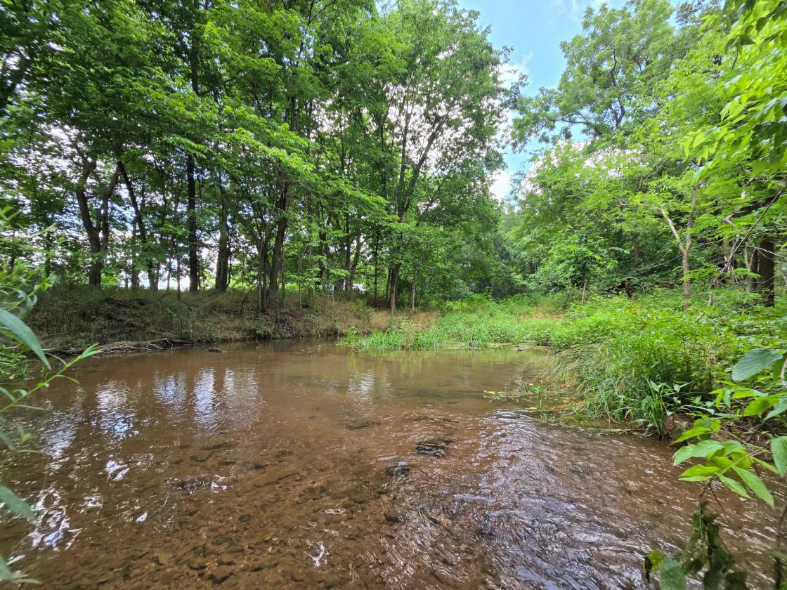 Legacy 56 ac. Estate- 7,800 sqft home, barn, creek - photo 17