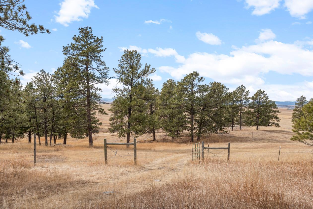 Colorado Horse Property on 36 Acres - photo 11