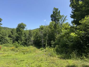 Property image.