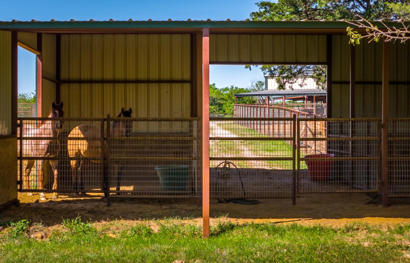 Spirit Ranch - Luxury NTX Equestrian Estate - photo 11