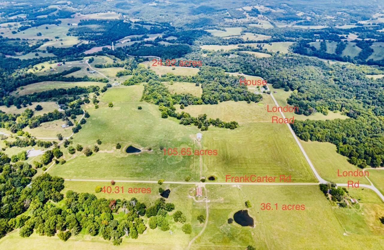 206 beautiful mostly level land - photo 2