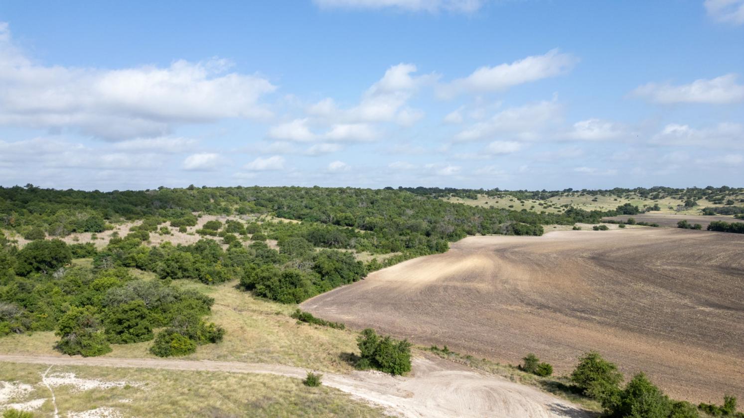 60 Acres in Star - Ready for Horses! - photo 11
