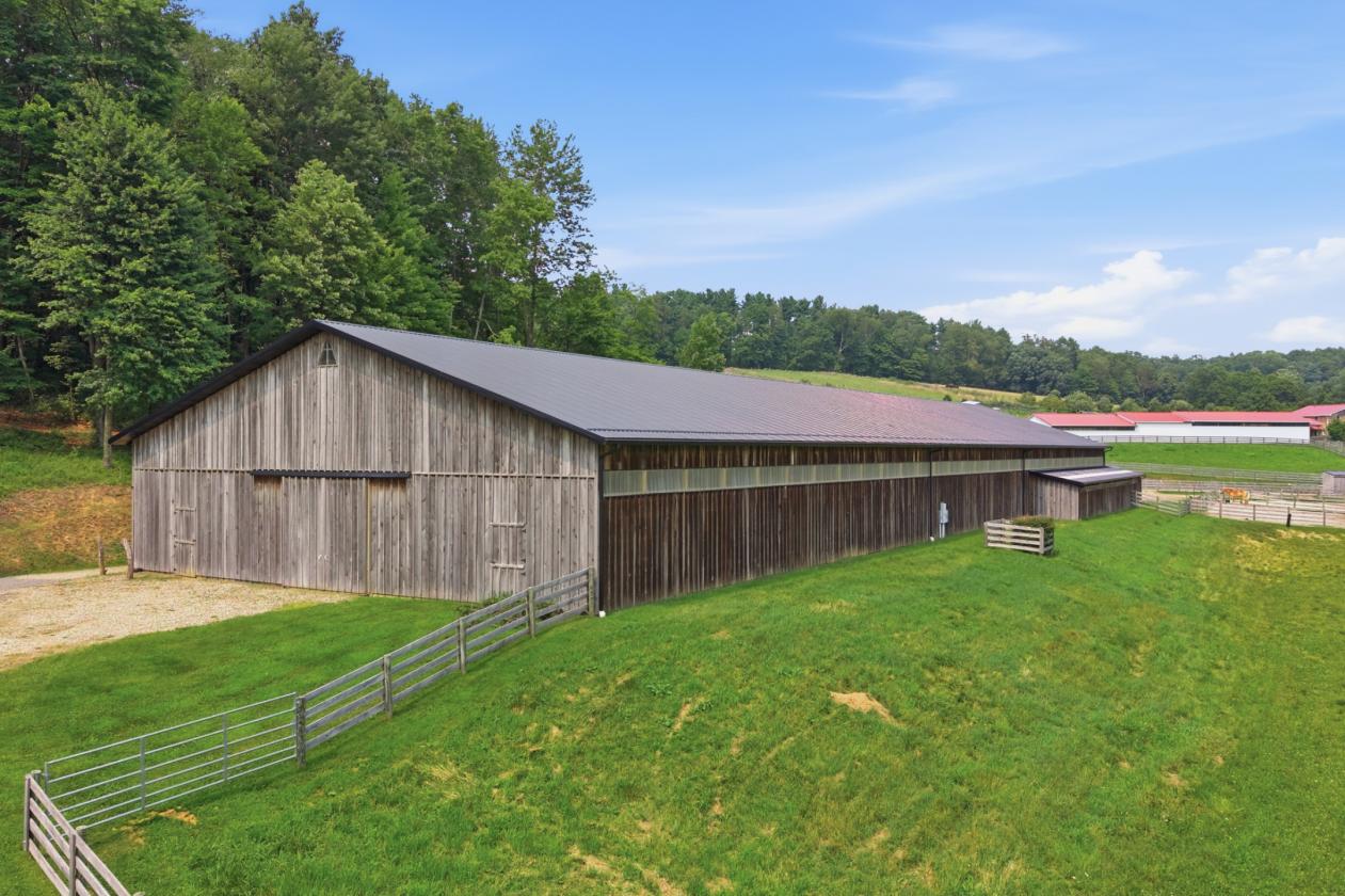 Exceptional Mohican Equine Estate Auction - photo 5