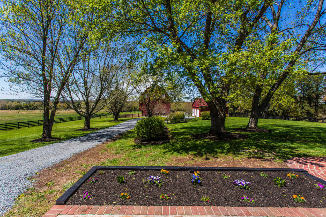 Horse Farm Ahoskie, Hertford County, North Carolina