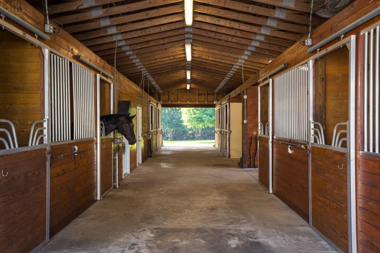 Oak Haven Farm - 302 Equestrian Corridor - photo 15