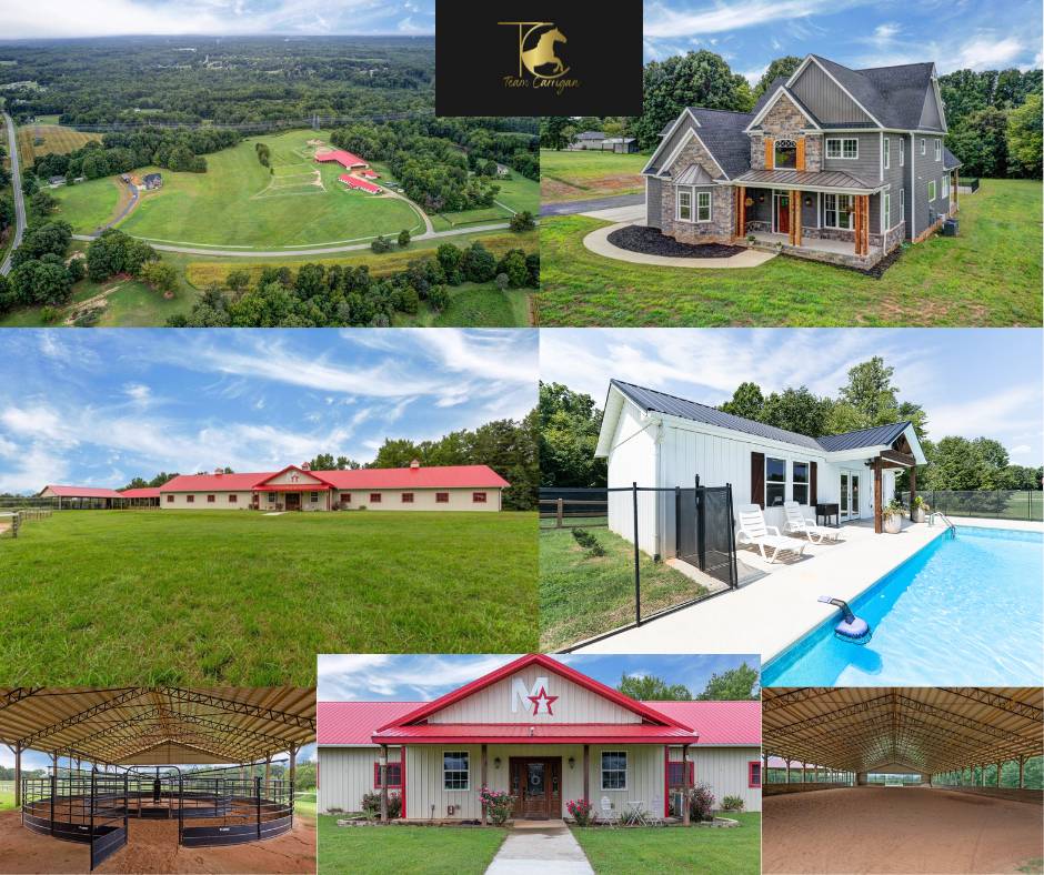 Horse Property for sale.