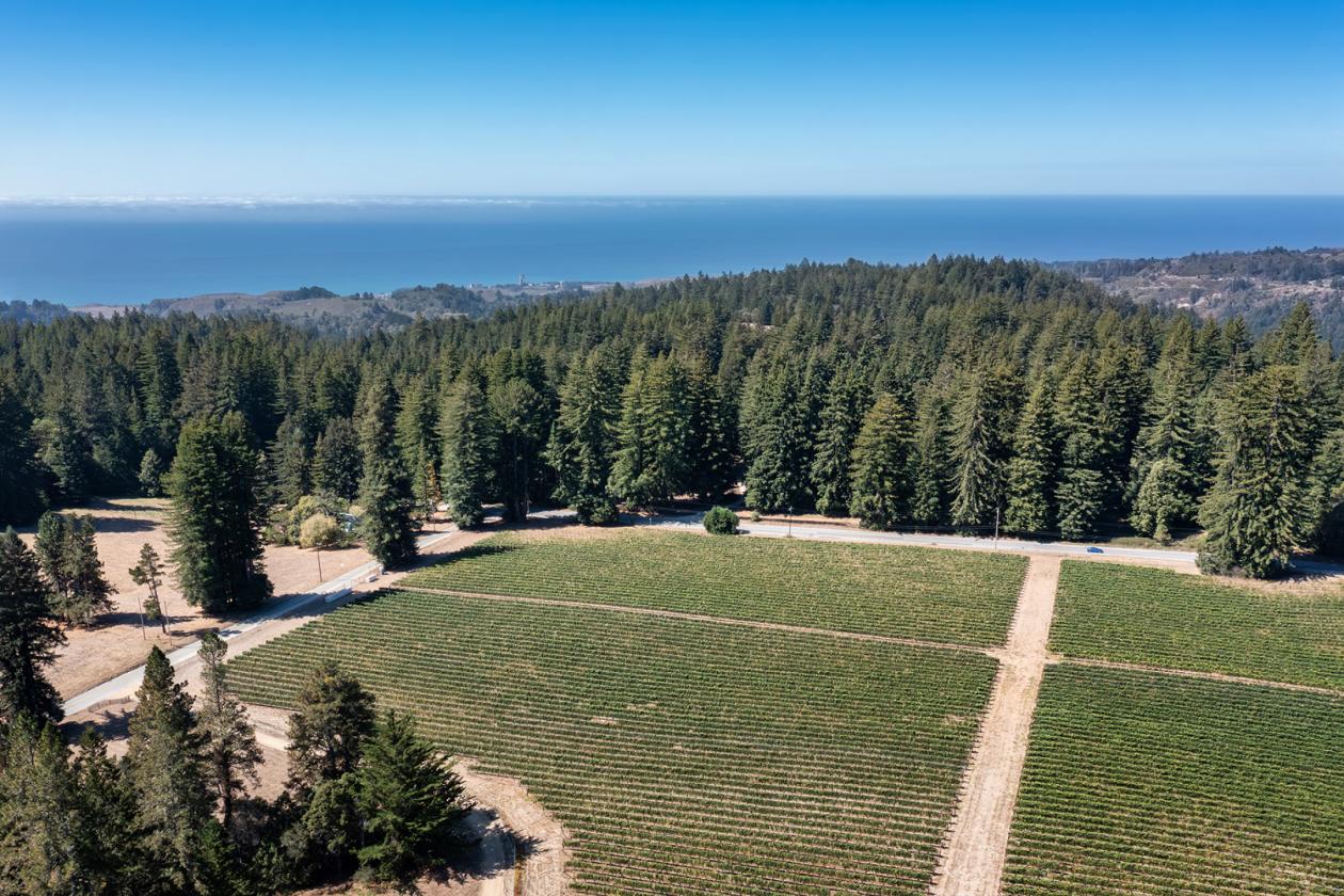 Santa Cruz Equestrian & Vineyard Property - photo 19