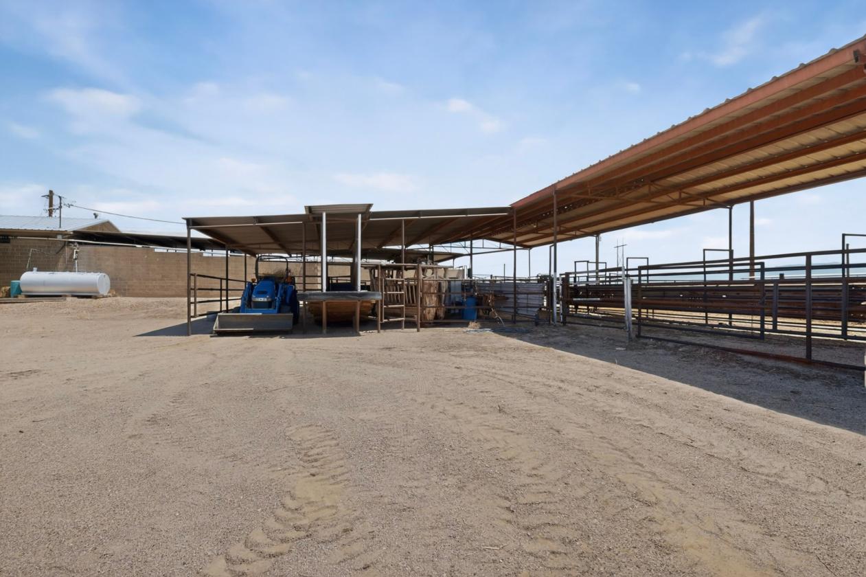 Horse Property/Dairy on 303 Acres - photo 15