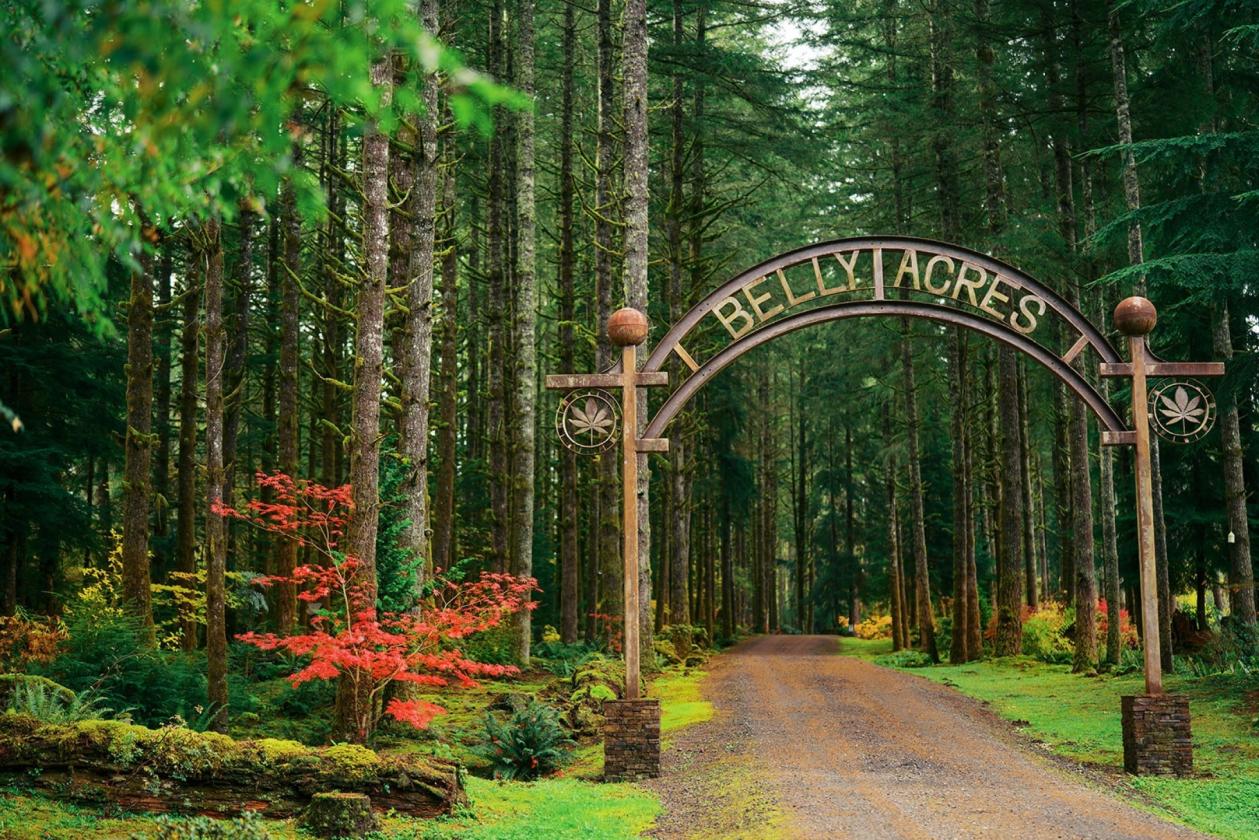 Legacy Equestrian Estate on 27 Acres - photo 8