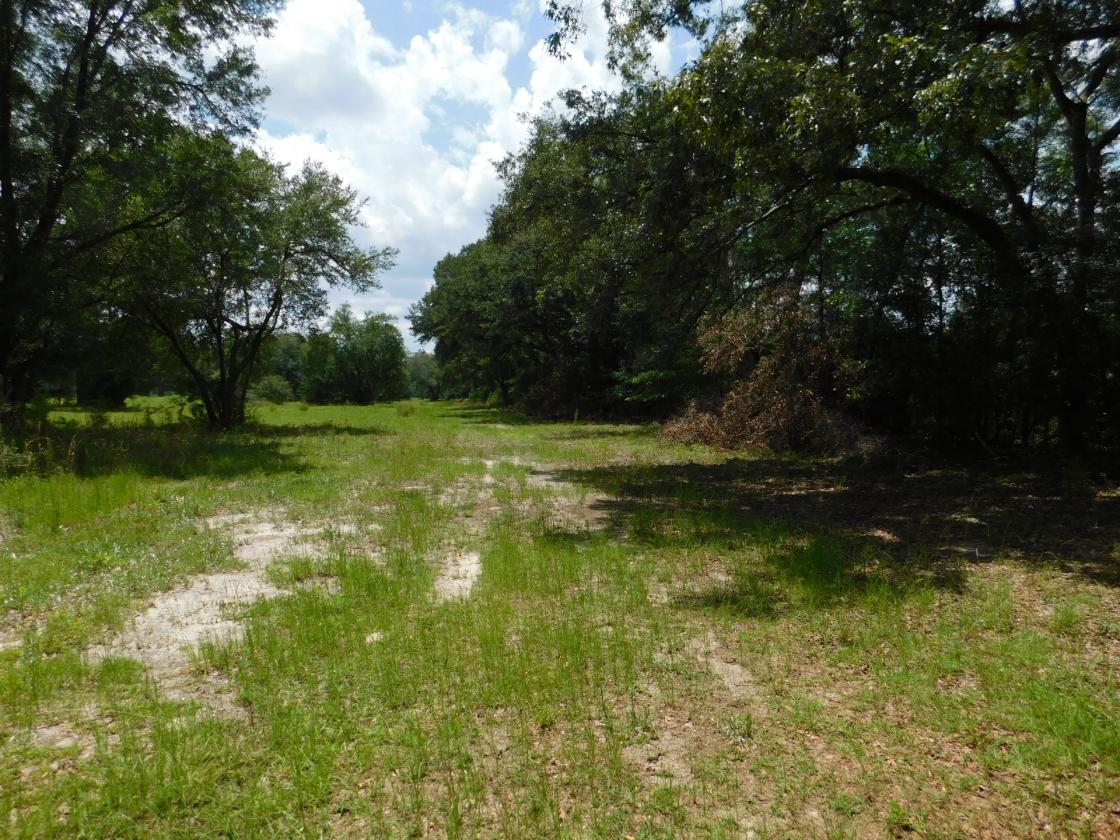 Lowcountry Paradise, waiting for your creativity - photo 2