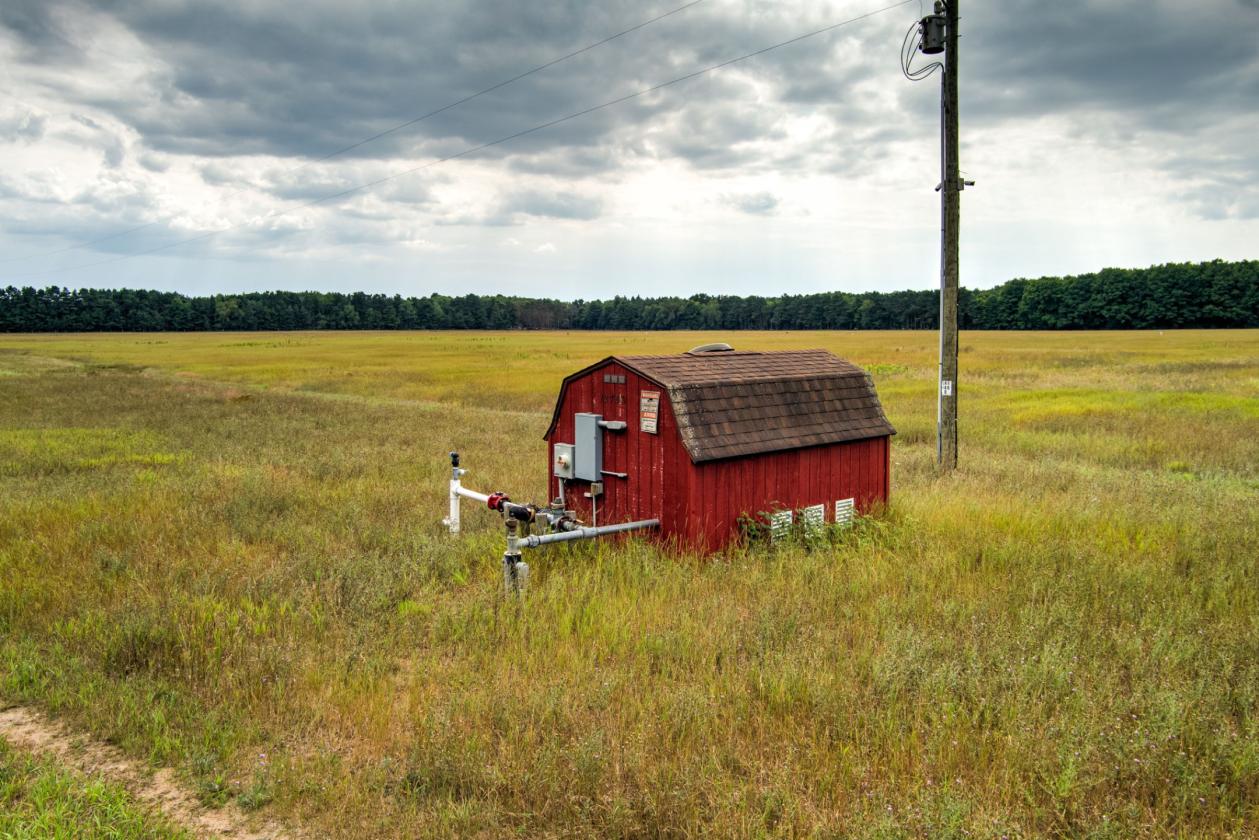 50.20 ACRES – BUILD YOUR EQUESTRIAN ESTATE & FARM - photo 14