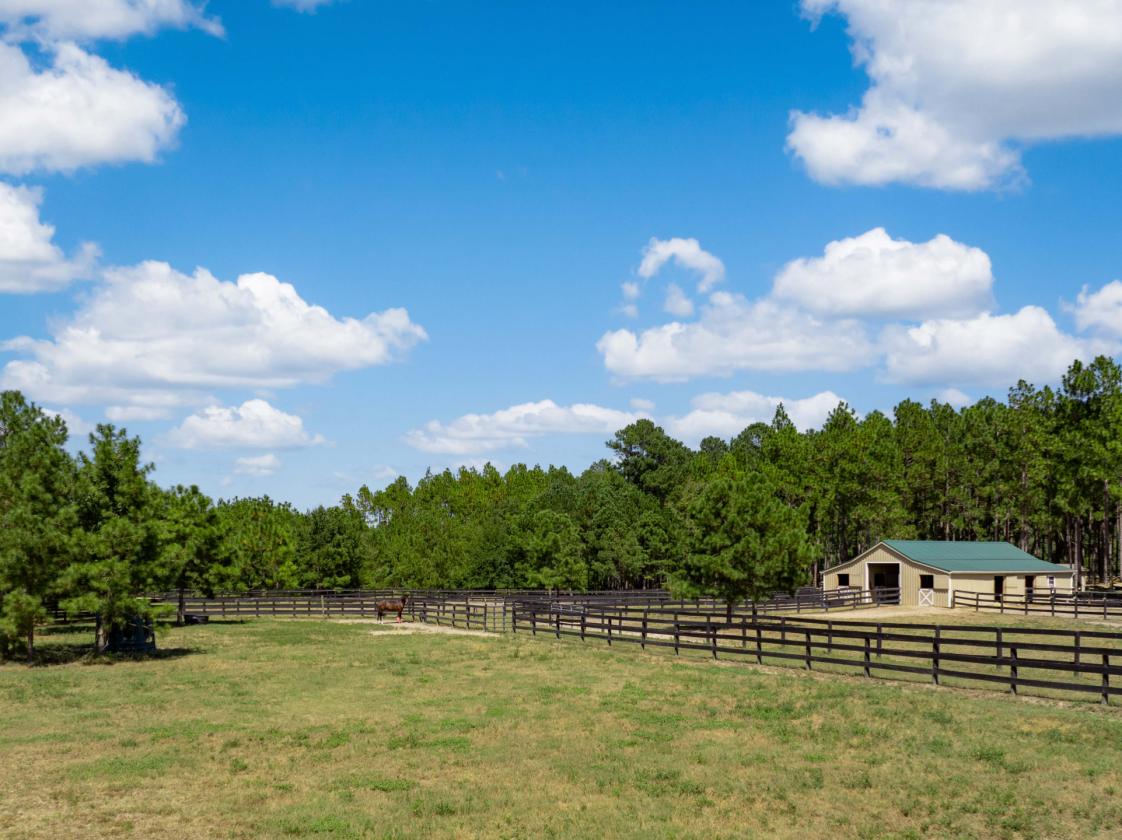 40 Acre Turn Key Dressage Facility with Log Home - photo 8