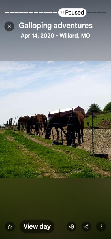 Investment opportunity/Equestrian Facility - photo 9