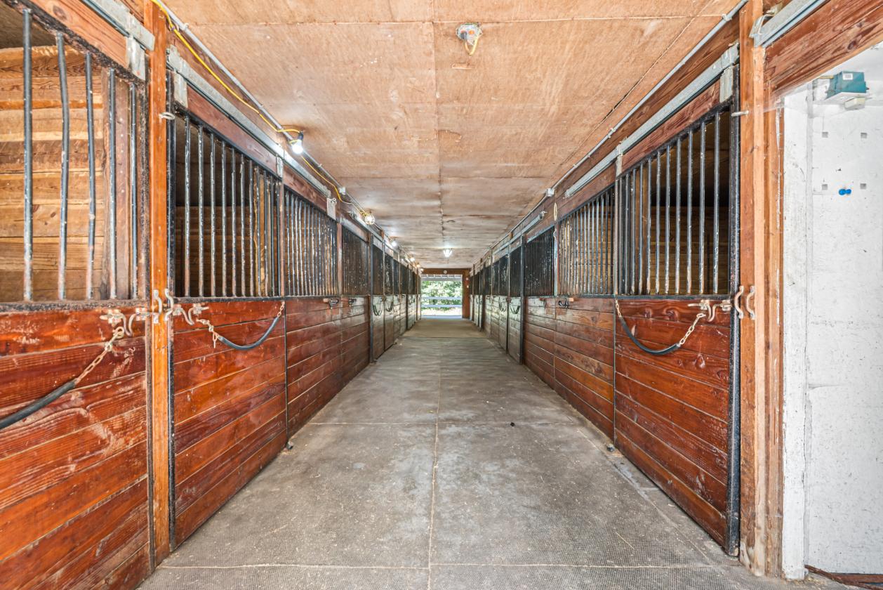 Turnkey Equestrian property East Hampton CT - photo 2