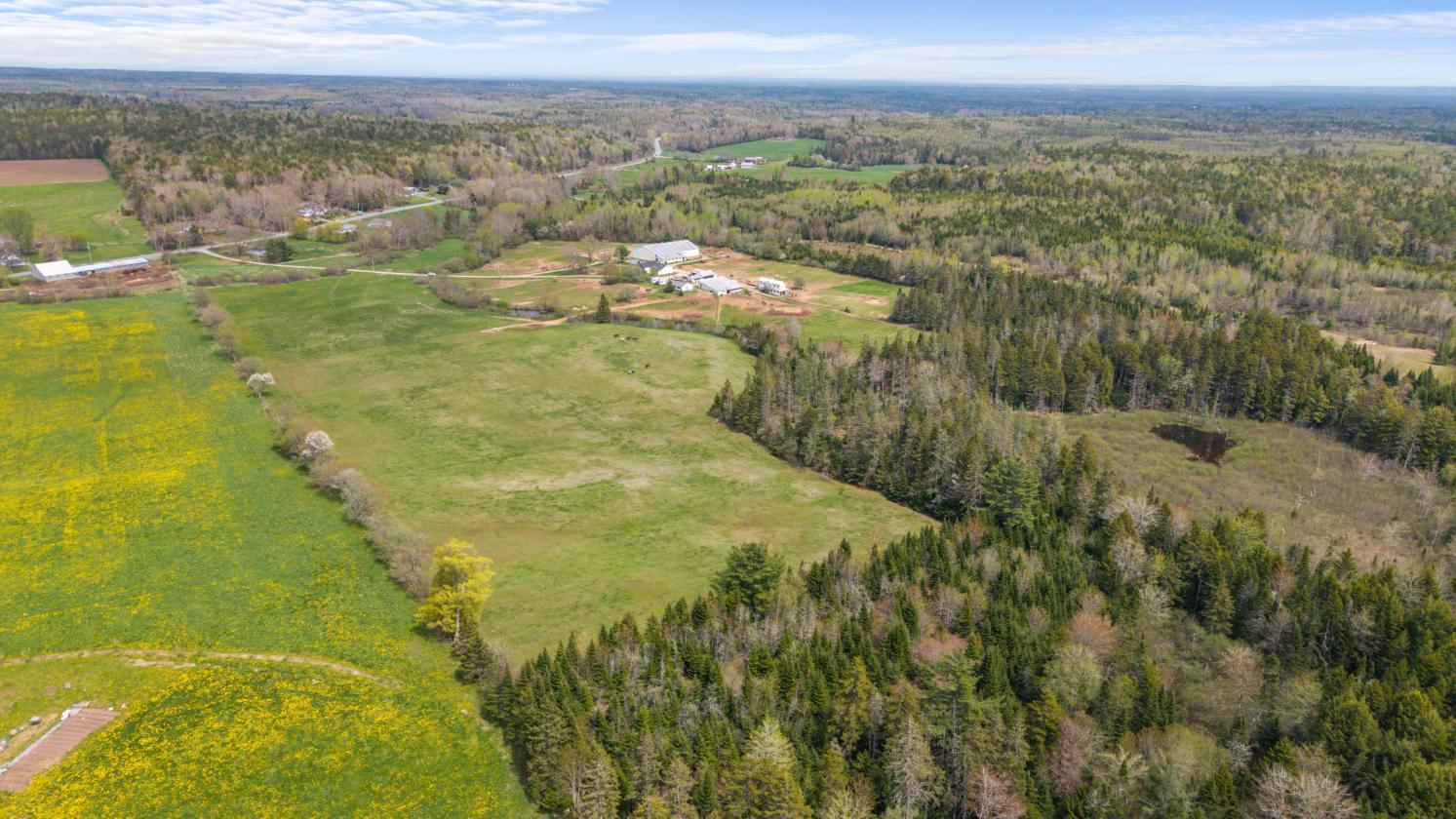 41 Acre Equestrian Facility with 2 homes For Sale - photo 12