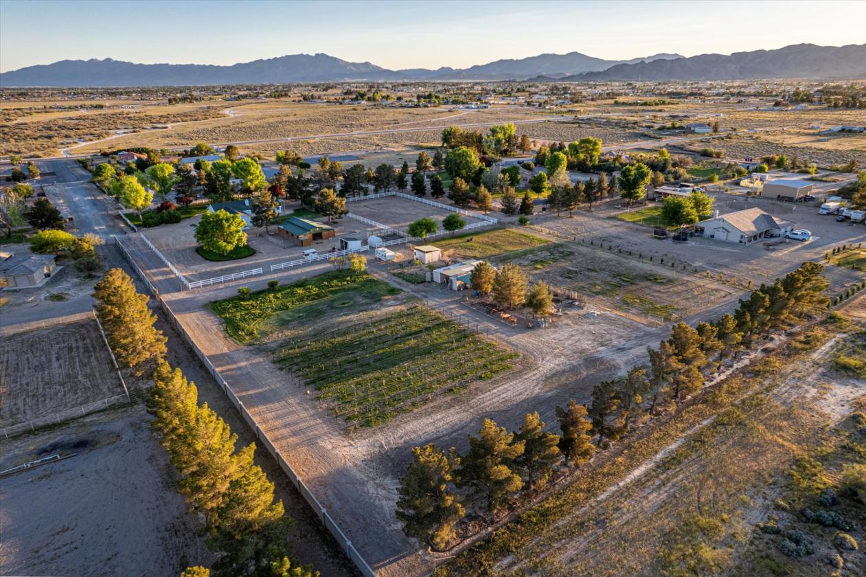 5 acre horse property and hobby farm w/vineyard - photo 4