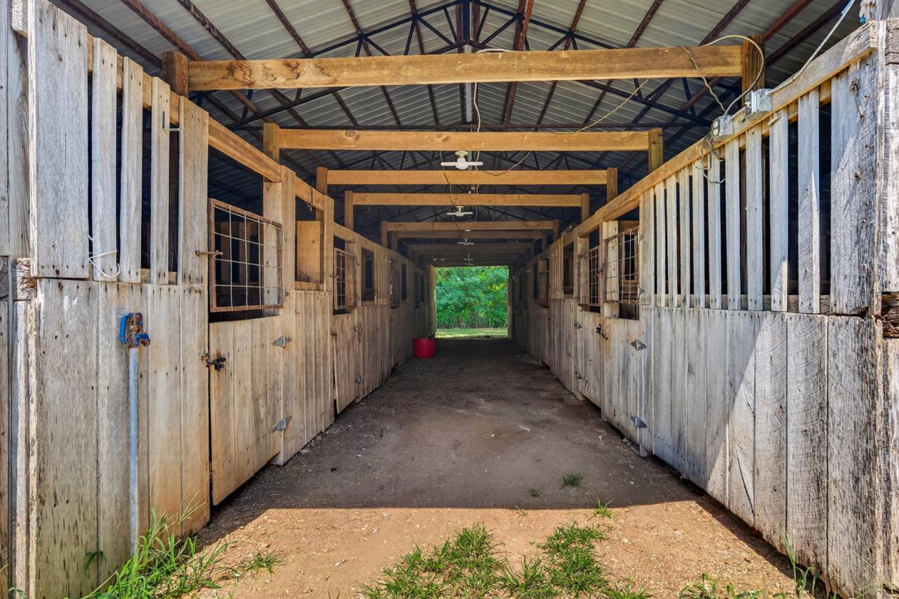 Bring the Horses, Cows and Chickens - photo 27