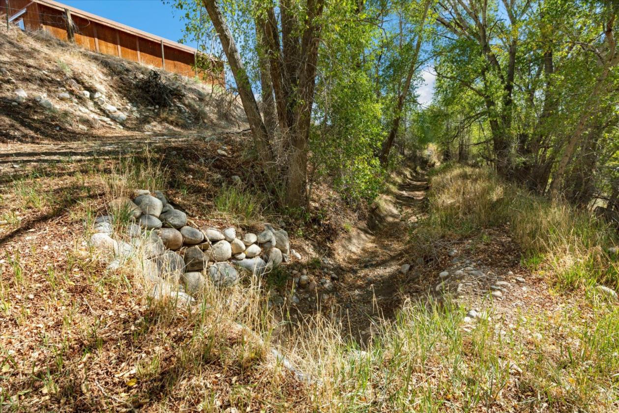 5-acre horse property - photo 5