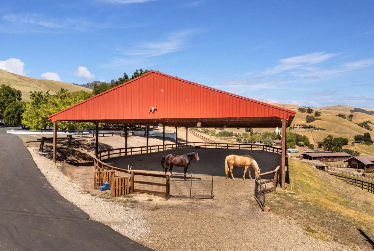Camino Tassajara Ranch Estate - photo 24