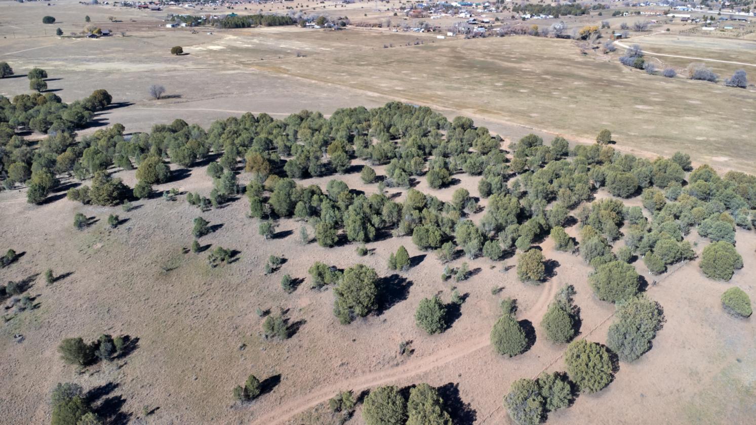 River Ranch - Young, AZ - 159± Acres - photo 11