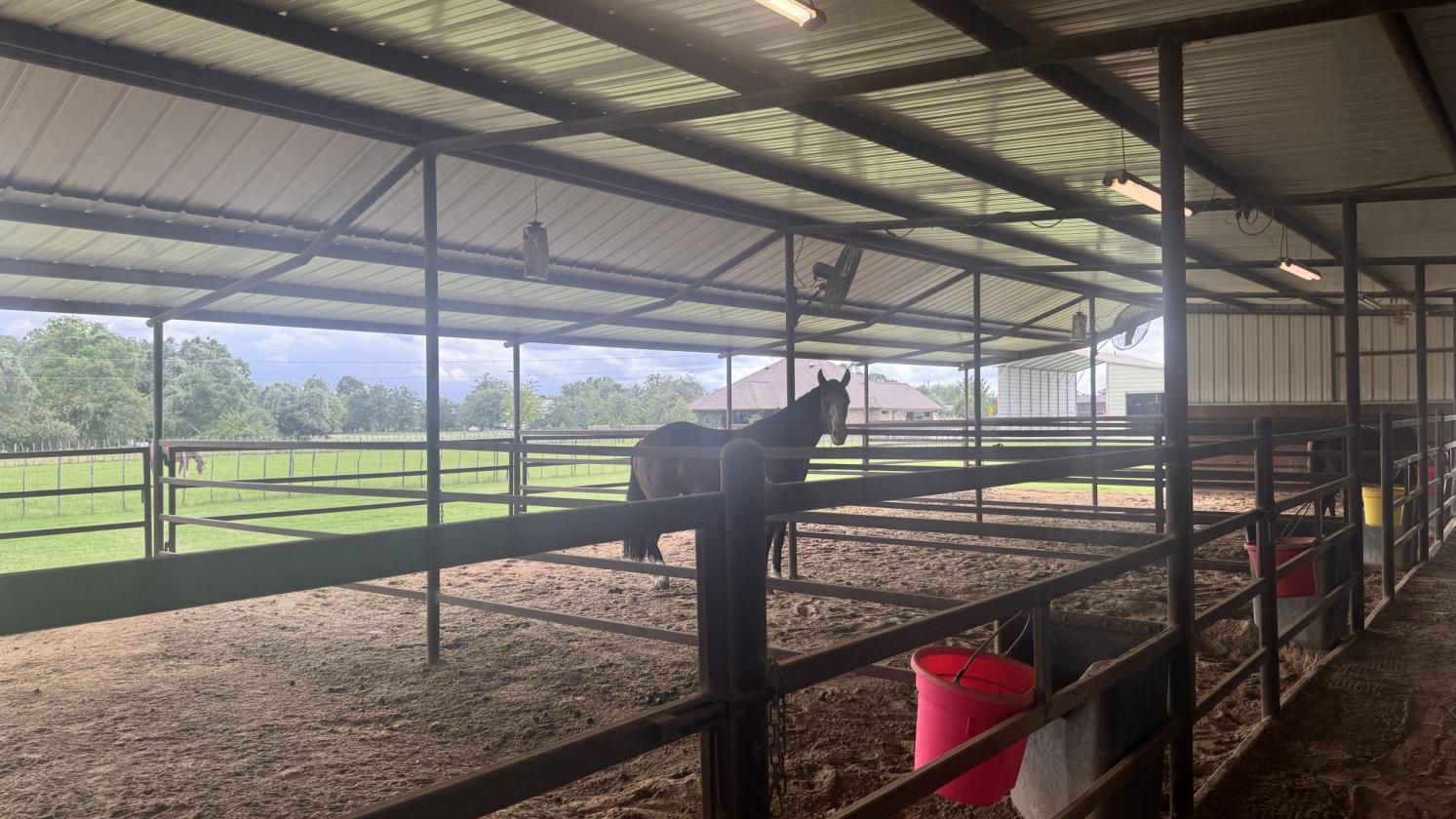 Turnkey 9.58 Acre Equine Facility - 2 Homes - photo 12
