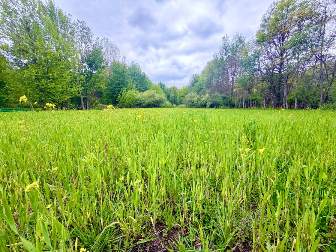 60Acres Equestrian Land with Scenic Trails - photo 10