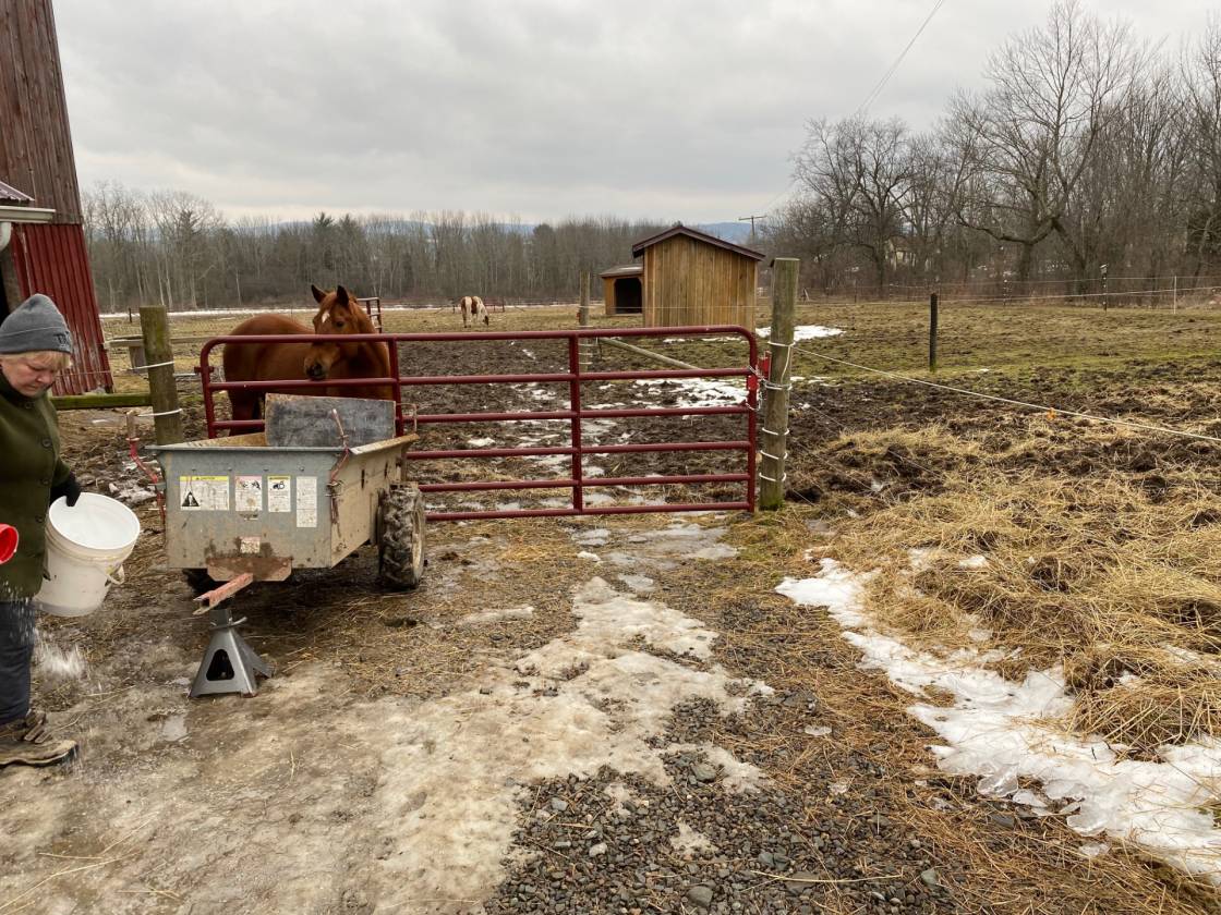 Hilltop Horse & Cattle Farm on 78 Acres FOR SALE... Towanda, Bradford