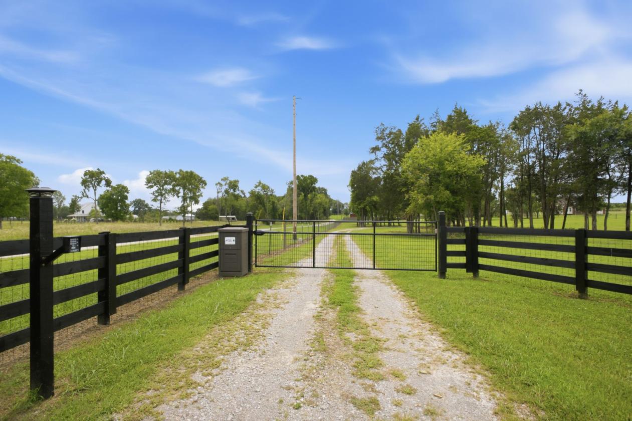 Peaceful 10 Acres/Renovated Home - photo 5