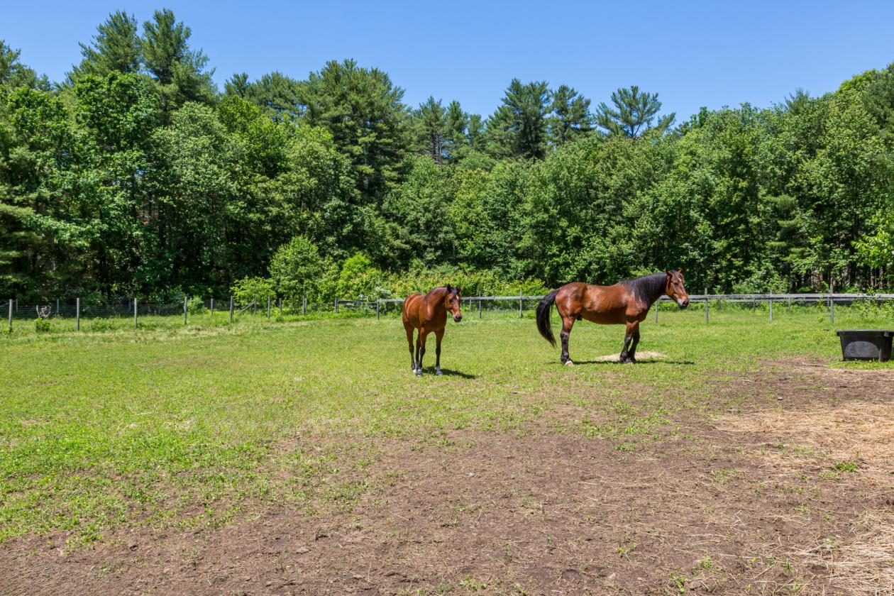 75-Acre Elite Equestrian & Wellness Sanctuary - photo 25