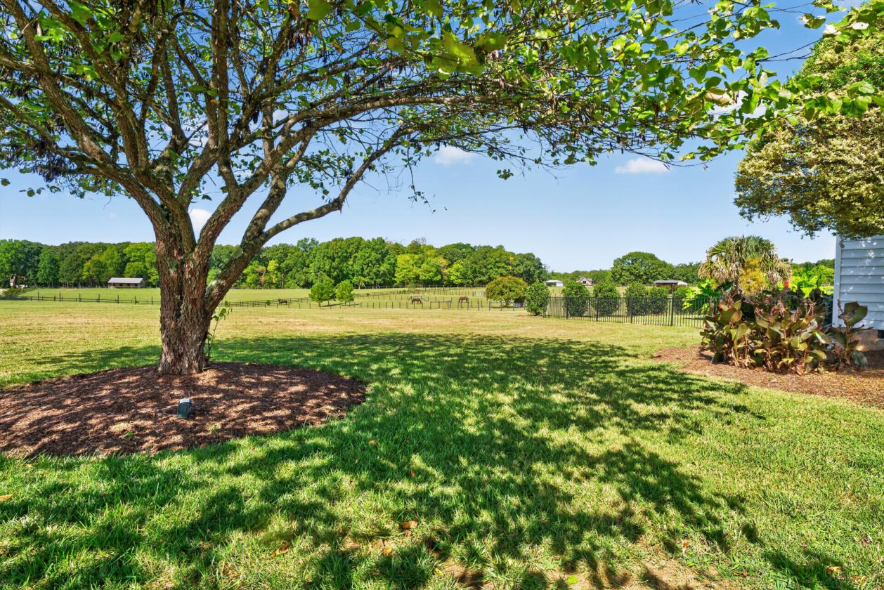 Luxury Horse Farm with 2 Homes and Covered Arena - photo 30