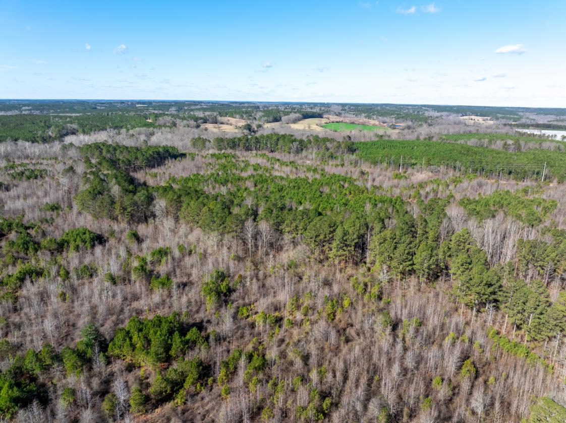 211 Acres- Luxury Estate & Equestrian Development - photo 18