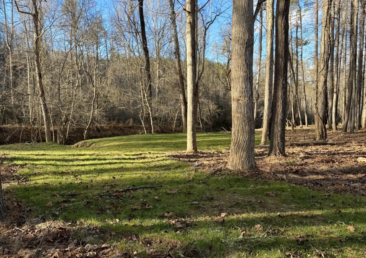 Riverfront- 12 ac at The Coves Mtn RIver Club - photo 7