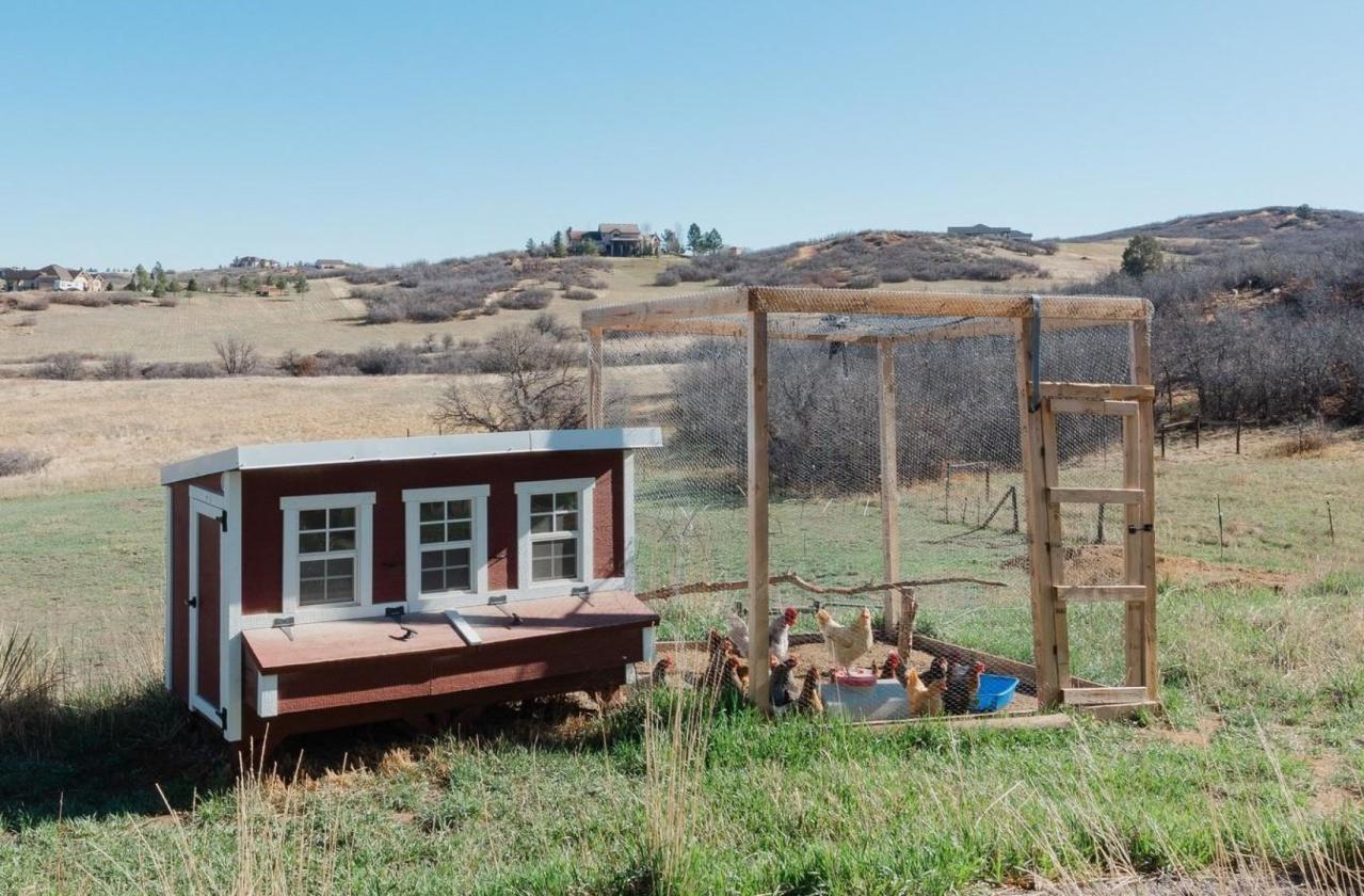 Wonderful Horse Property - photo 22