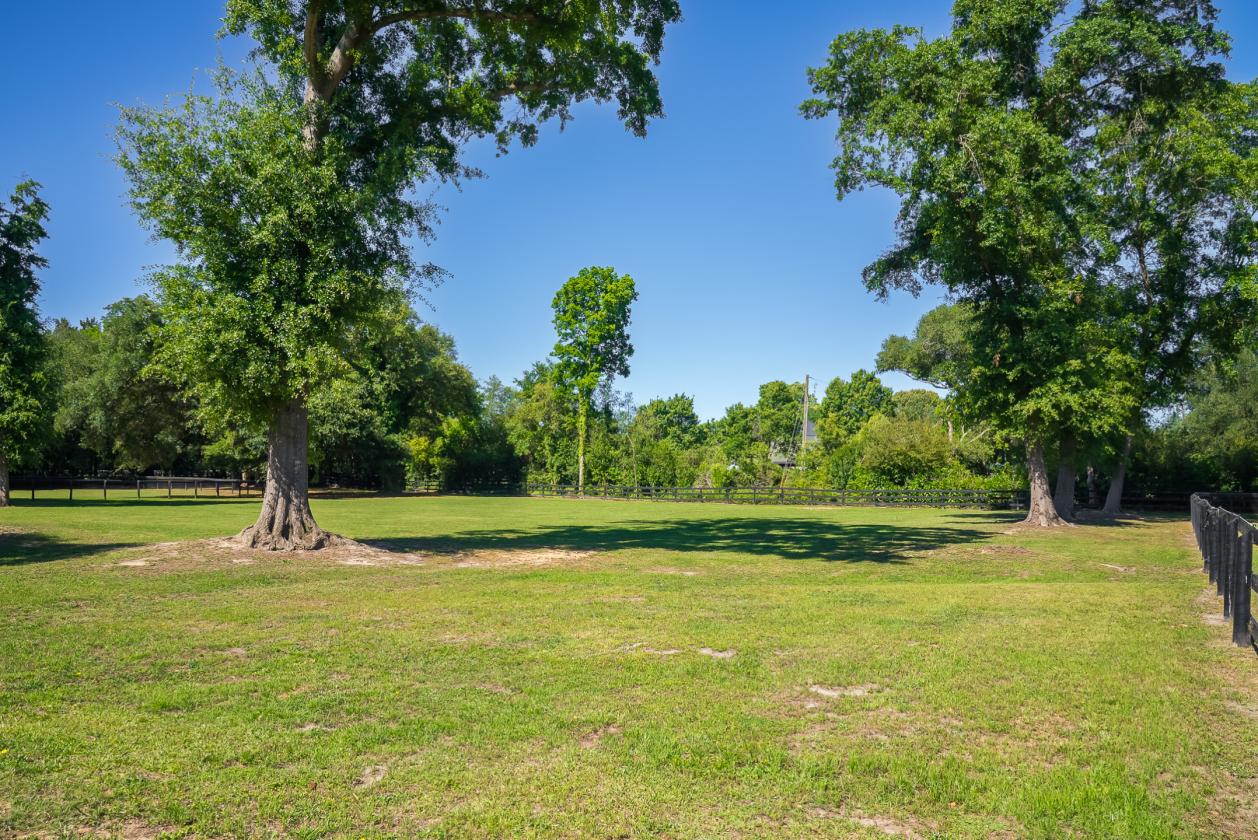 Luxury Equestrian Estate bordered by Bruce's Field - photo 30