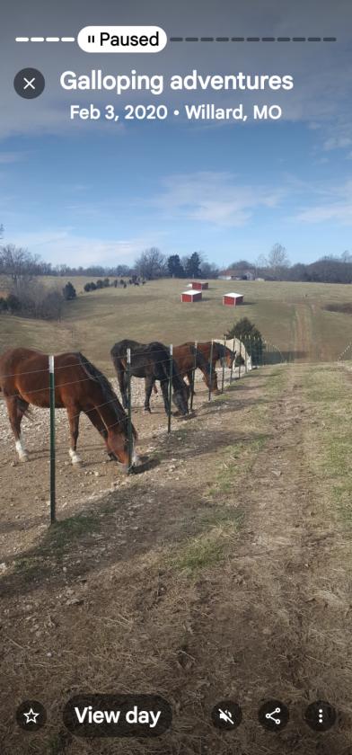 Investment opportunity/Equestrian Facility - photo 12