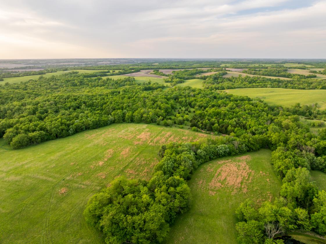 273.5 +/- Acre Turn-Key Cattle and Horse Property - photo 6