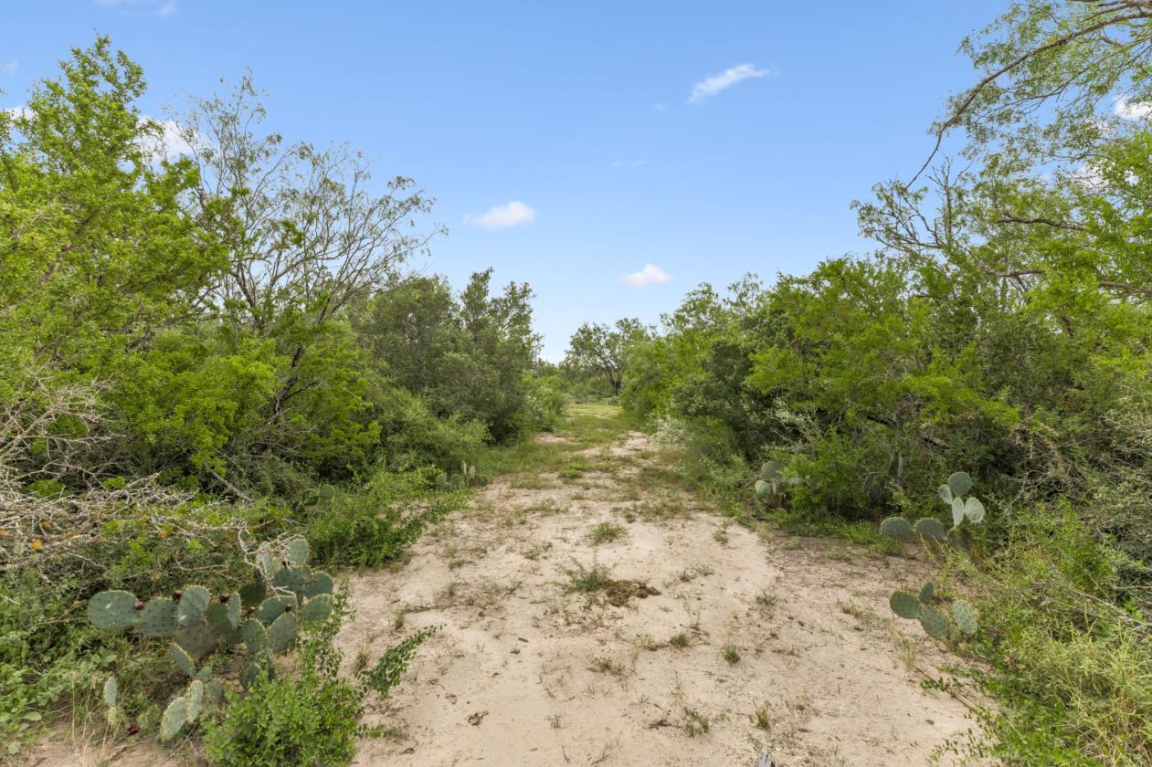 17.43 acres near Saint Hedwig - photo 14