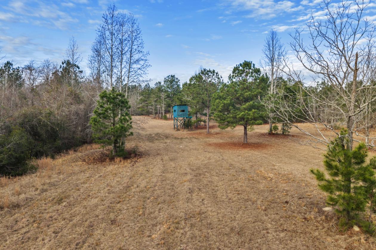 88.95 acres and 3 homes on this secluded property! - photo 23