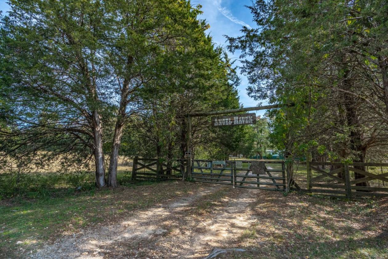 Horse Property for sale.