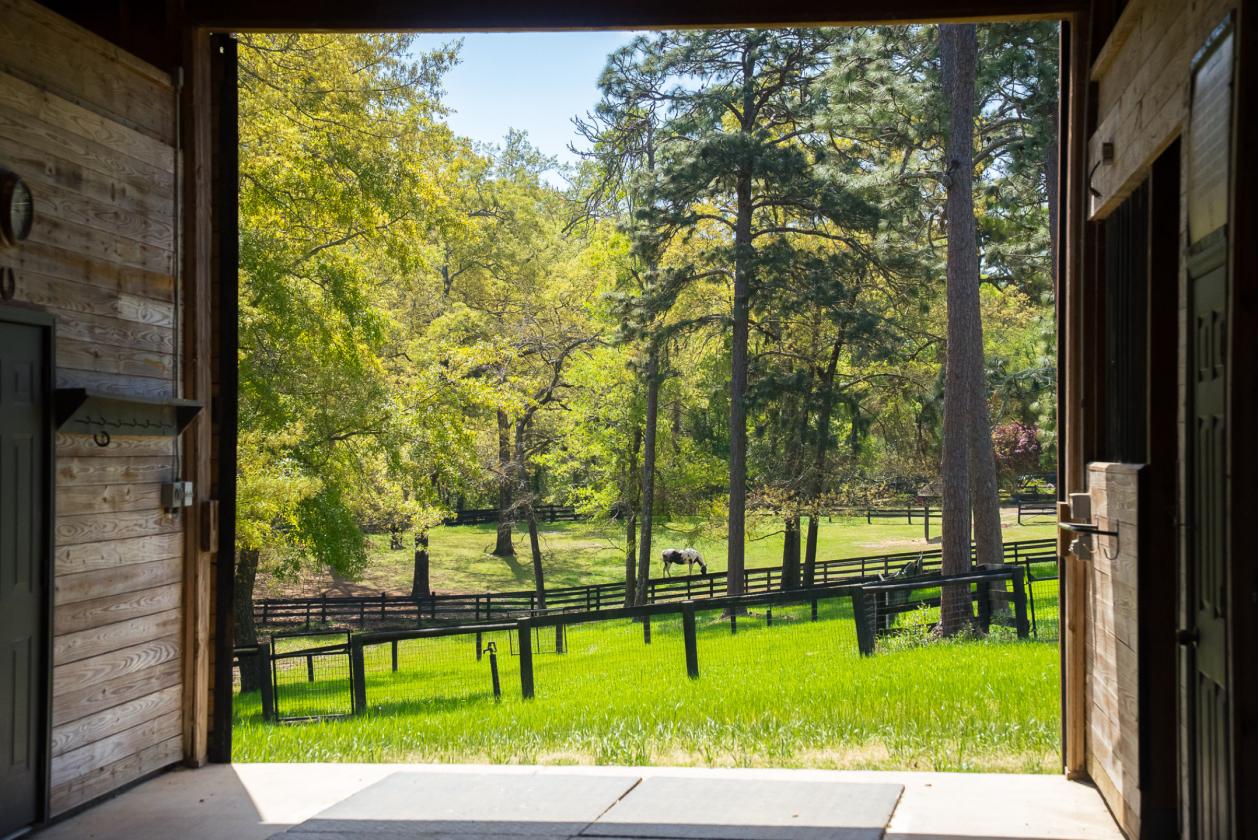 Live Connected to Aiken's Hitchcock Woods! - photo 15