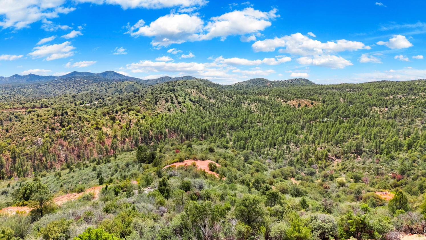 WHERE THE FOREST MEETS THE HORIZON - photo 12